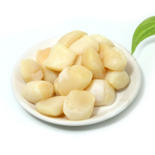 high quality Beyond Ocean Nutrient-rich seafood scallop columns